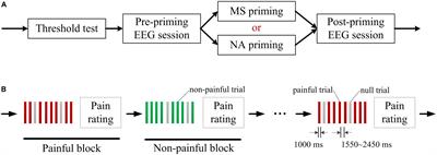 Reminders of Mortality Alter Pain-Evoked Potentials in a Chinese Sample